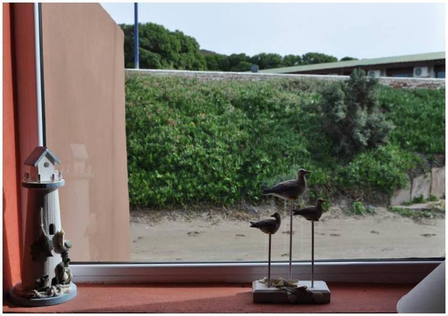 Hosteria Puerto Palos 푸레르토피라미드 외부 사진