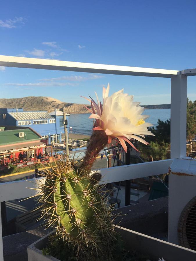Hosteria Puerto Palos 푸레르토피라미드 외부 사진